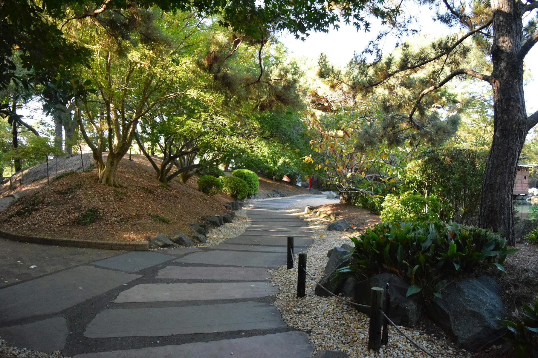 A winding stone path through a planted garden, lined with path lights